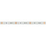 Светодиодная лента RT-В60-10mm 12V Green (14.4 W/m, IP20, 5060, 5m) (Arlight, 14.4 Вт/м, IP20) 012337(2) - фото 2