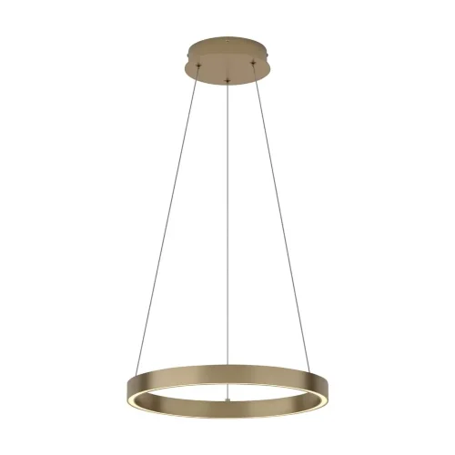 Подвесной светильник Rim 3000K 25Вт (Латунь) - фото 2