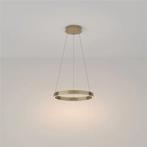 Подвесной светильник Rim 3000K 25Вт (Латунь) - фото