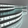 Светодиодная лента 12 В 9,6 Вт/м 120 Led/м 2835 IP65, холодный белый 6500K, 5 м Лента светодиодная 12V 9,6W 120Led 2835 IP65 холодный белый, 5м - фото