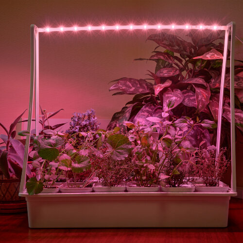 ULT-P34N-10W-SPSB IP65 WHITE 12 Набор Минисад, светильник для растений светодиодный с подставкой, Спектр для рассады и цветения, 12 кашпо в-к, белые, TM ФитоЛето - фото 11