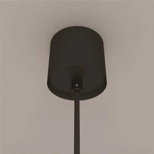 Подвесной светильник LUNA 4000K 1x5Вт 360° (Черно-белый) - фото 4