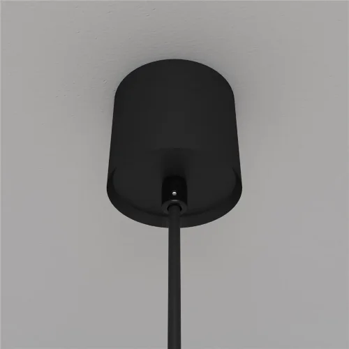 Подвесной светильник LUNA 4000K 1x5Вт 360° (Черно-белый) - фото 9