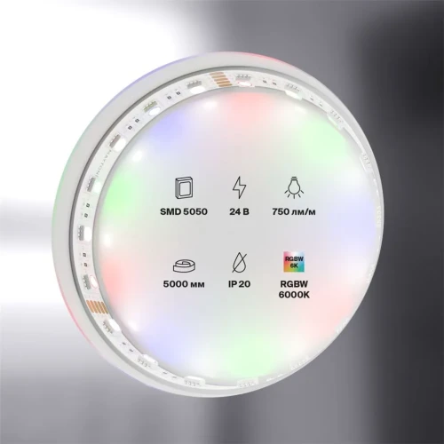 Светодиодная лента 24В 5050 19,2Вт/м RGBW 6000K 5м IP20 (Белый) - фото 5