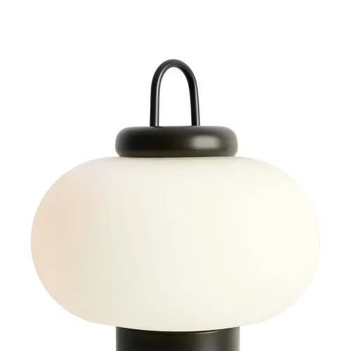 Настольный светильник Freya FR6175TL-L10B (Черный) - фото 5