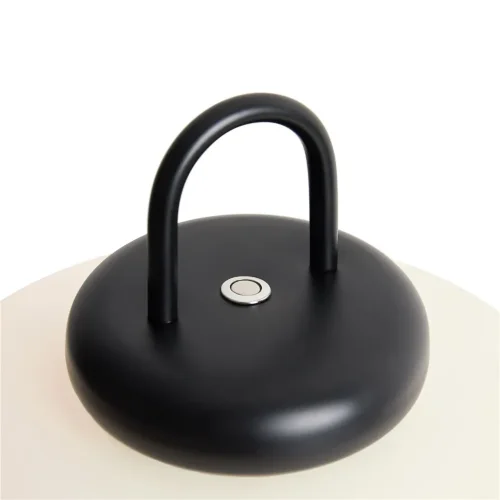 Настольный светильник Freya FR6175TL-L10B (Черный) - фото 6