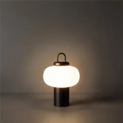 Настольный светильник Жест / Take (Черный) FR6175TL-L10B