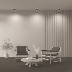 Потолочный светильник Planet 4000K 1x16Вт 90° (Черный)