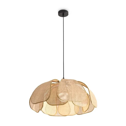 Подвесной светильник Freya FR5529PL-01B (Черный) - фото 4