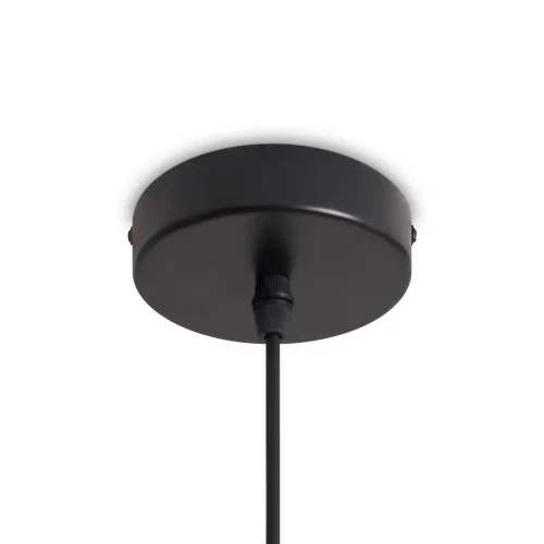 Подвесной светильник Freya FR5529PL-01B (Черный) - фото 6