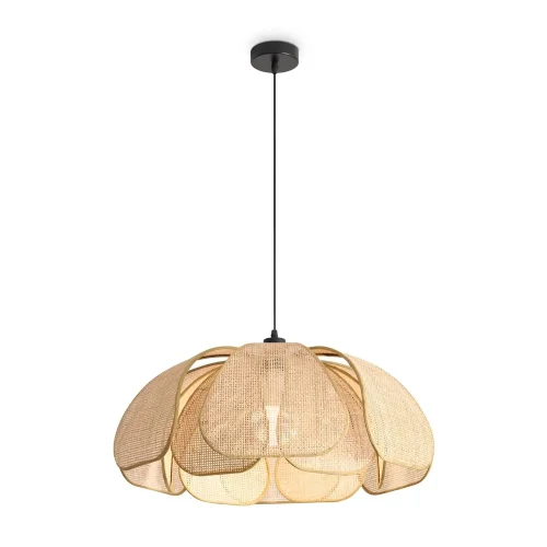 Подвесной светильник Кокон / Cocoon (Черный) FR5529PL-01B - фото