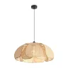 Подвесной светильник Кокон / Cocoon (Черный) FR5529PL-01B - фото
