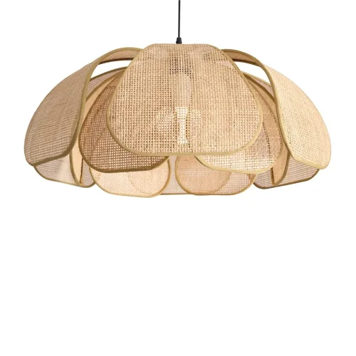 Подвесной светильник Кокон / Cocoon (Черный) FR5529PL-01B - фото 6