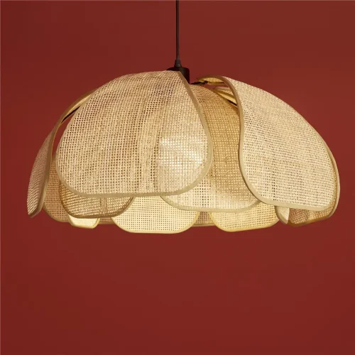 Подвесной светильник Кокон / Cocoon (Черный) FR5529PL-01B - фото 10