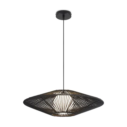 Подвесной светильник Freya FR5405PL-01B1 (Черный) - фото