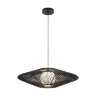 Подвесной светильник Freya FR5405PL-01B1 (Черный) - фото