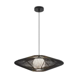 Подвесной светильник Freya FR5405PL-01B1 (Черный)