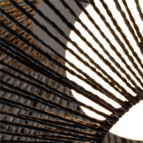 Подвесной светильник Freya FR5405PL-01B1 (Черный) - фото 3