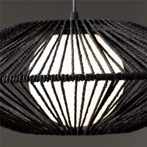 Подвесной светильник Freya FR5405PL-01B1 (Черный) - фото 4