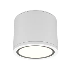 Потолочный светильник Rendo GX53 12Вт IP44 (Белый)