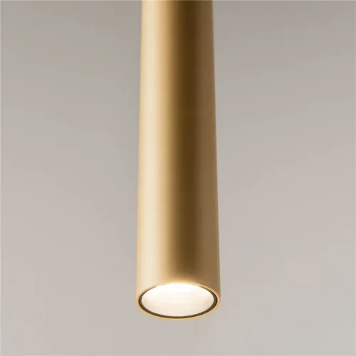 Подвесной светильник Pro Base 3000-4000К 6Вт (Золото) - фото 3