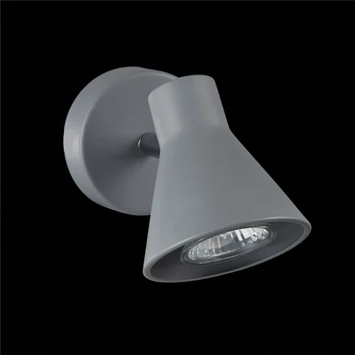 Спот FR4308-WL-01-GR Кларис GU10x1 (Серый) FR4308-WL-01-GR - фото 16