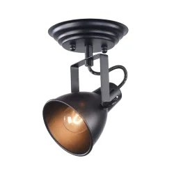 Споты – светильники для современных интерьеров. Арматура и плафоны сделаны из выкрашенного в черный цвет металла. Стильные, выполненные в стиле Лофт, светильники могут осветить любое помещение, несмотря на свой небольшой размер. Это легко достигается за с