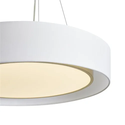 Подвесной светильник Уют / Cozy (Латунь) FR6170PL-L52BS - фото 4