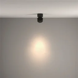 Потолочный светильник Yin 4000K 1x15Вт 24° Dim Triac (Черный)