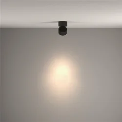 Потолочный светильник Инь / Yin 15 Вт 4000 К 24° с функцией диммирования (Черный) C084CL-15W4K-D-B