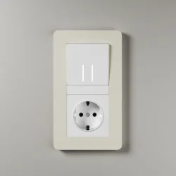Розетка с заземлением (белая) W1171001