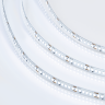 Светодиодная лента WOLTA WLS2835-24W/6500/24H240-01 SMD2835 24Вт 6500К 24В IP20 240 led/m - фото 1.