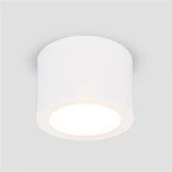 Накладной потолочный  светодиодный светильник DLR026 6W 4200K белый матовый (040440)