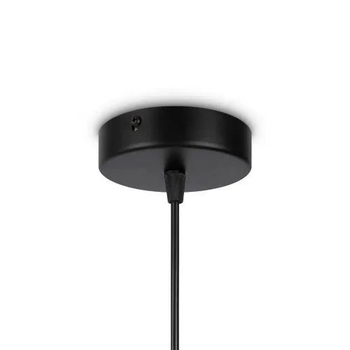 Подвесной светильник Freya FR5243PL-01BR9 (Черный) - фото 9