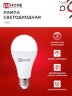 Лампа светодиодная LED-A65-VC 4PACK 25Вт 230В Е27 6500К 2380Лм (4шт./упак) IN HOME - Фото 5