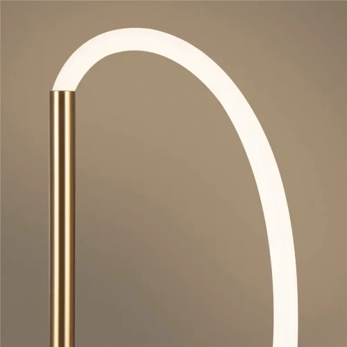 Напольный светильник (торшер) FR6059FL-L60BS Нарядный / Fancy 36 Вт LED (Латунь) FR6059FL-L60BS - фото 8