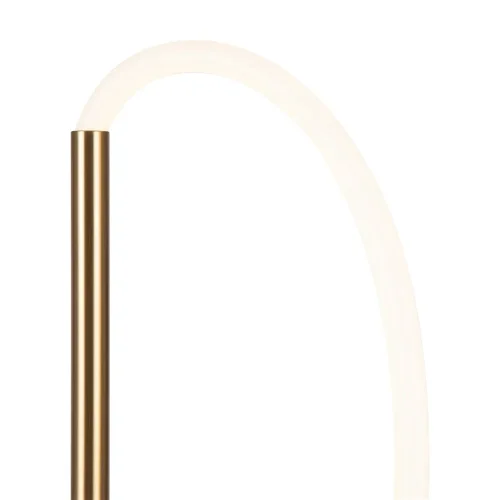 Напольный светильник (торшер) FR6059FL-L60BS Нарядный / Fancy 36 Вт LED (Латунь) FR6059FL-L60BS - фото 10