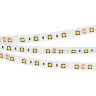 Светодиодная лента RT 2-5000 24V Day4000 2x(5060, 300 LED, CRI98) (Arlight, 14.4 Вт/м, IP20) - фото 1
