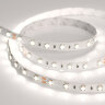 Светодиодная лента RT 2-5000 24V Day4000 2x(5060, 300 LED, CRI98) (Arlight, 14.4 Вт/м, IP20) - фото 2