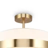 Потолочный светильник Невеста / Bride (Латунь) FR5367CL-03BS - фото 7