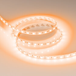 Светодиодная лента RT-В60-10mm 12V Orange (14.4 W/m, IP20, 5060, 5m) (Arlight, Открытый) 015972(2)