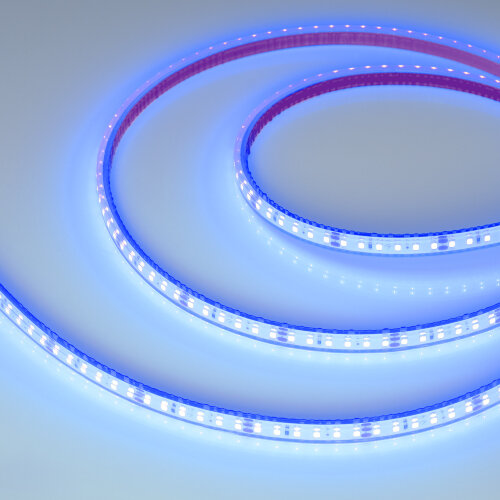 Светодиодная лента герметичная RTW-PFS-A120-11mm 24V Blue (9.6 W/m, IP68, 2835, 5m) (Arlight) 033787 - фото