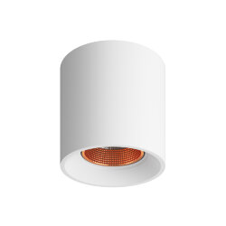 Светильник накладной, IP 20, 10 Вт, GU5.3, LED, белый/бронзовый, пластик, Denkirs DK3090-WBR