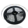Светодиодная лента Standart class 2835, 60led/m, White, 12V, IP20. - фото I