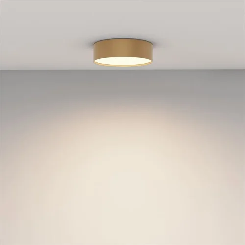 Потолочный светильник Zon 3000K 24W 120° (Матовое Золото) - фото 7