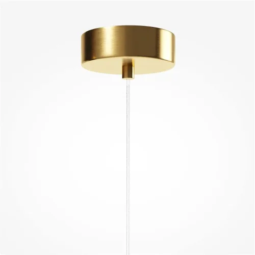 Подвесной светильник Biology 3000К 3Вт (Латунь) - фото 4