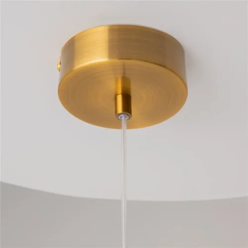 Подвесной светильник Biology 3000К 3Вт (Латунь) - фото 13