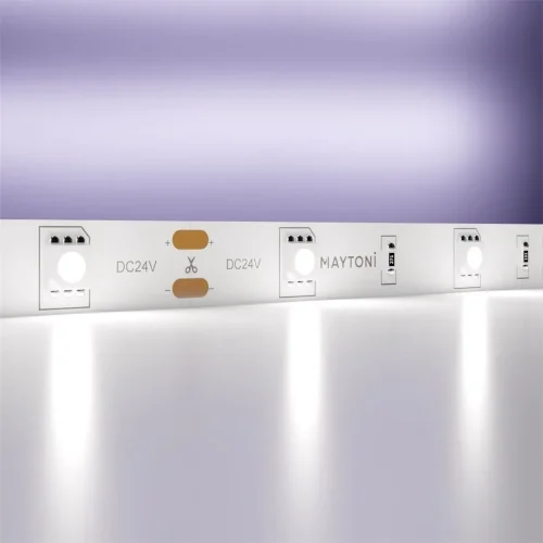 Светодиодная лента 24В 5050 7,2Вт/м 6000K 5м IP20 (Белый) - фото