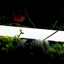 Лента 360 ° светодиодная неоновая 2835, 360 LED/м, 16 Вт/м, 24В , IP66, Цвет: Нейтральный белый, SWG-2360-24-NW-66 013284