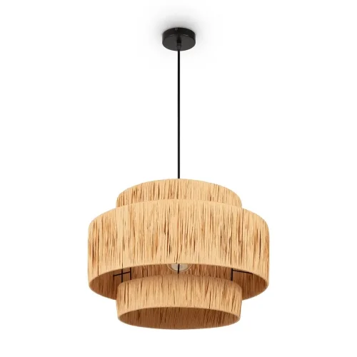 Подвесной светильник Freya FR5249PL-03BG1 (Черный) - фото